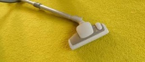 carpet cleaning Winnetka