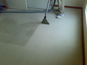 Winnetka carpet cleaners